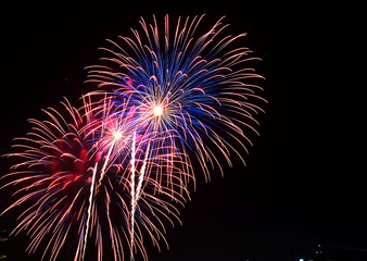 Colorful fireworks of various colors over night sky