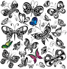 Big set of butterflies silhouettes