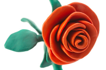 Plasticine rose with leaves and red petals on a white background