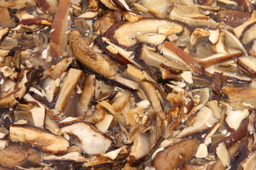 Funghi crudi tagliati in acqua - Raw mushrooms chopped in water