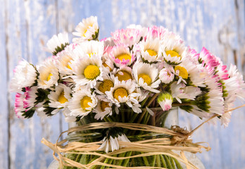 Happy Birthday: Gänseblümchen-Strauß