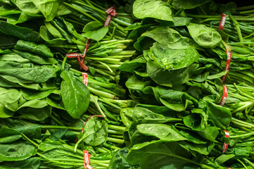 fresh green leaves spinach