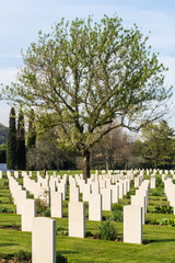 Fototapeta na wymiar Cemetery of war