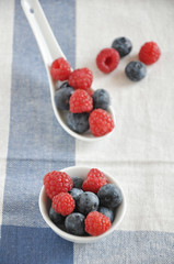 Heidelbeeren und Himbeeren