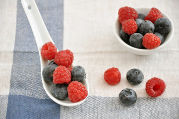 Heidelbeeren und Himbeeren