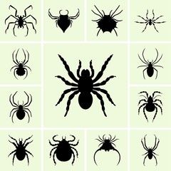 Set of spider silhouettes