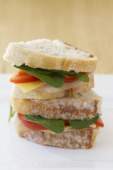 Healthy sandwich vertical