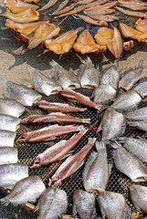 Dried fish 3