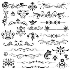 Set of vector floral elements for design