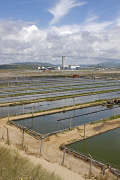 Worm Farm And Factory, Aberavon