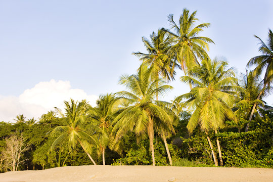 Turtle Beach, Tobago