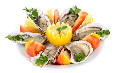 Oysters isolated on white