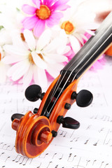Naklejka premium Classical violin with flowers on notes