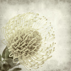 textured old paper background