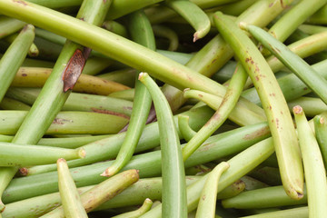 gousses vertes de vanille