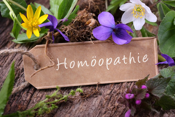 Homöopathie - Heilkraft aus der Natur