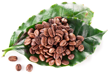 Coffee beans on leaf.