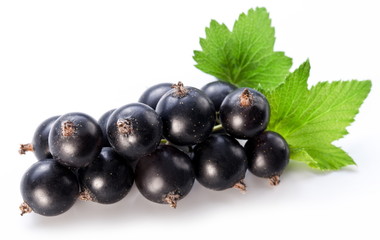 Branch of black currant on a white background.