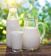 Milk in various dishes.