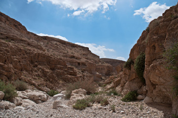 Desert mountains .