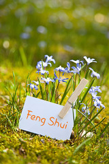 Feng Shui