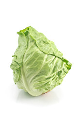 Fresh green cabbage