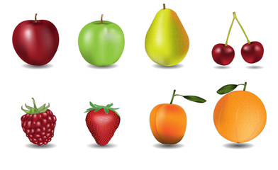 Fruit vector illustrations