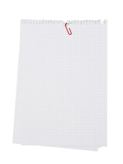 Sheets of notepad