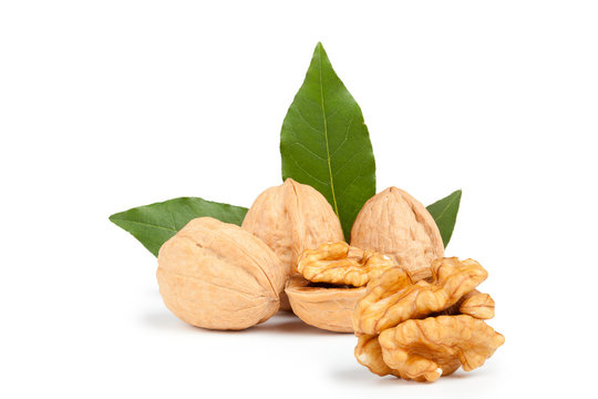 noci