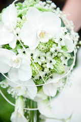 Fototapeta premium marriage flowers