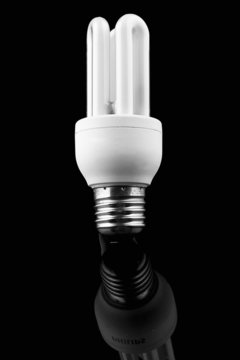 Light bulb on black background, energy saver