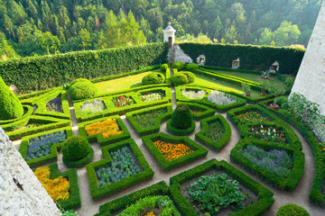 Fototapeta Maze garden in Pieskowa Skala castle near Krakow obraz