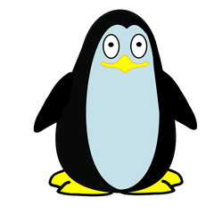 drawn penguin on a white background