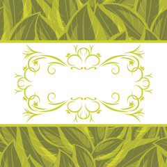 Decorative frame on the background with a green leaves