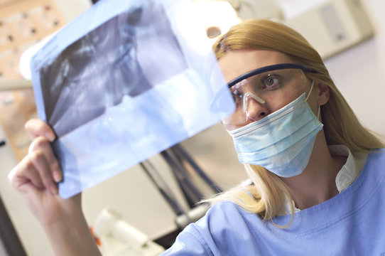 Dentist looking x ray