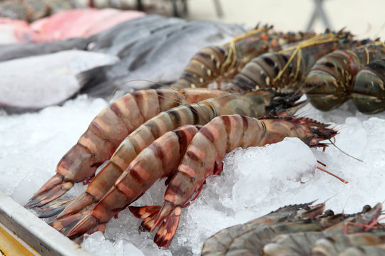 Prawns
