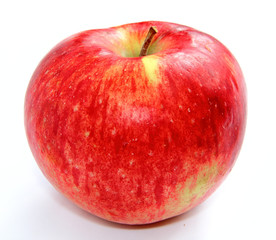 apple  isolated
