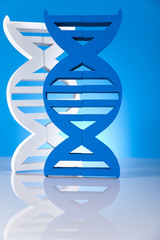DNA molecules