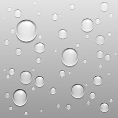 Water Drops