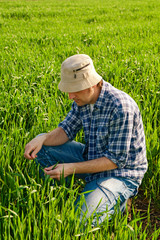 Man in wheat field