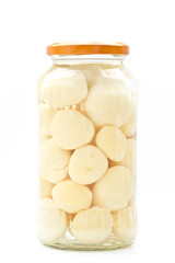 Potato in glass jar on a white background