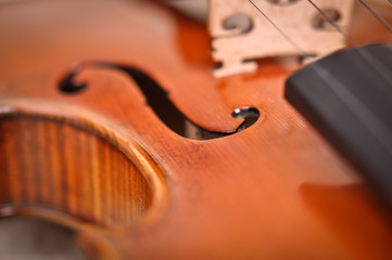 violin details isolated on a brown background