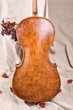 violoncello back and autumn leaves