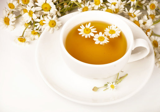 Chamomile tea with chamomile flower