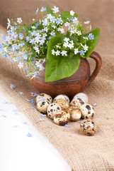 Nest with quail eggs on a canvas on a white background