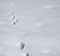 Footprints in a snow composition background