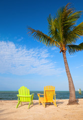 Summer scene with colorful lounge chairs  and palm trees - 51741869