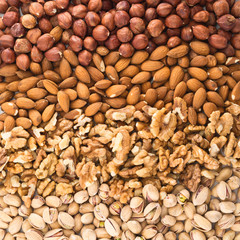 Surface covered with different nuts