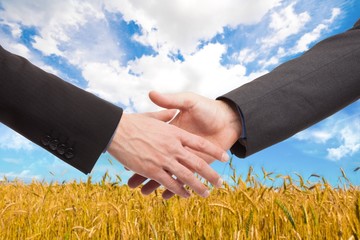People shaking hands in a wheat field