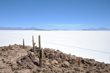 Island Incahuasi  Salar de Uyuni, Bolivia